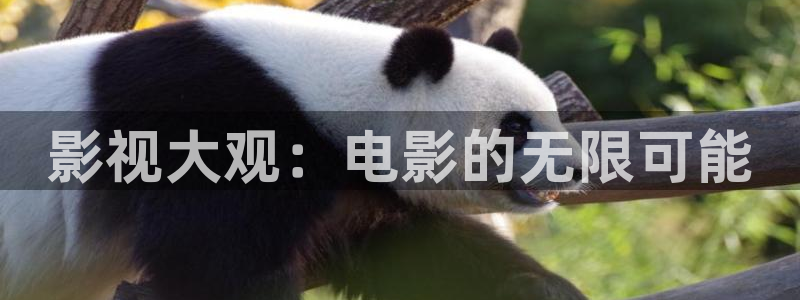 免费观看奇奇影院：影视大观：电影的无限可能