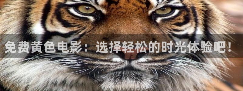 777米奇奇米影视四色官网：免费黄色电影：选择轻松的时光体验吧！