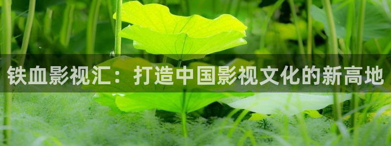 奇奇网影院：铁血影视汇：打造中国影视文化的新高地