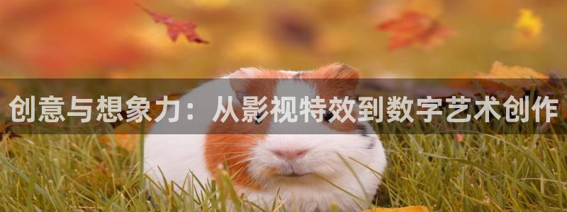 米奇奇米影视：创意与想象力：从影视特效到数字艺术创作