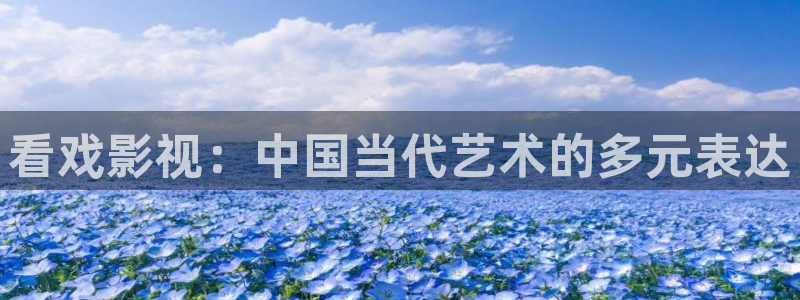 米奇奇米影视：看戏影视：中国当代艺术的多元表达
